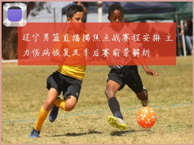 辽宁男篮直播揭焦点战赛程安排 主力伤病恢复及季后赛前景解析