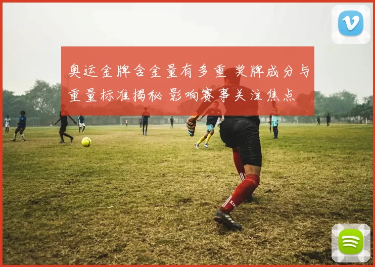 奥运金牌含金量有多重 奖牌成分与重量标准揭秘 影响赛事关注焦点