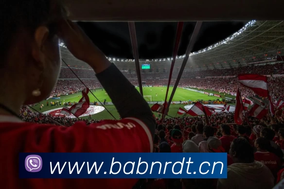 美国国家队队员薪资结构曝光男女足同工同酬政策成焦点